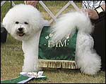 BIM 2005