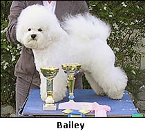 Bailey