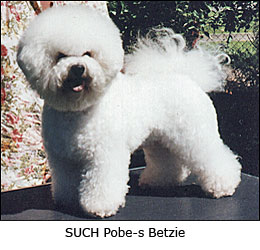 Betzie