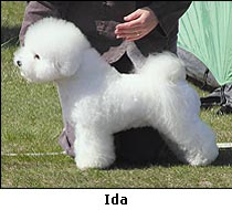 Ida